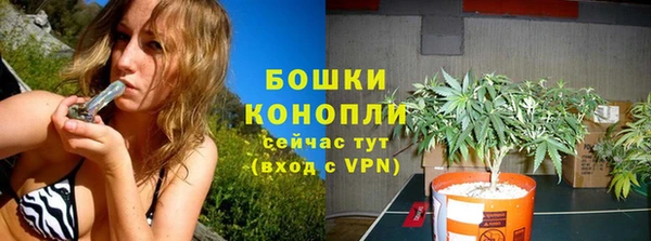 дмт Протвино