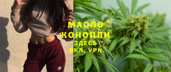 дмт Протвино