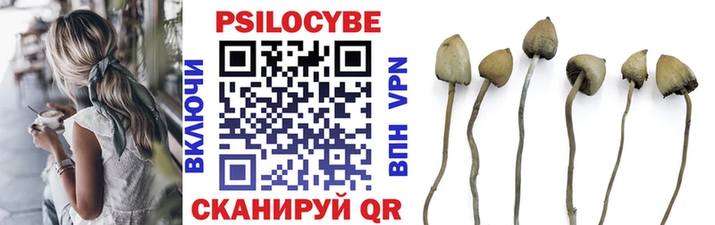 Галлюциногенные грибы Magic Shrooms  Рошаль 